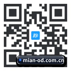 系统版 iOS 二维码